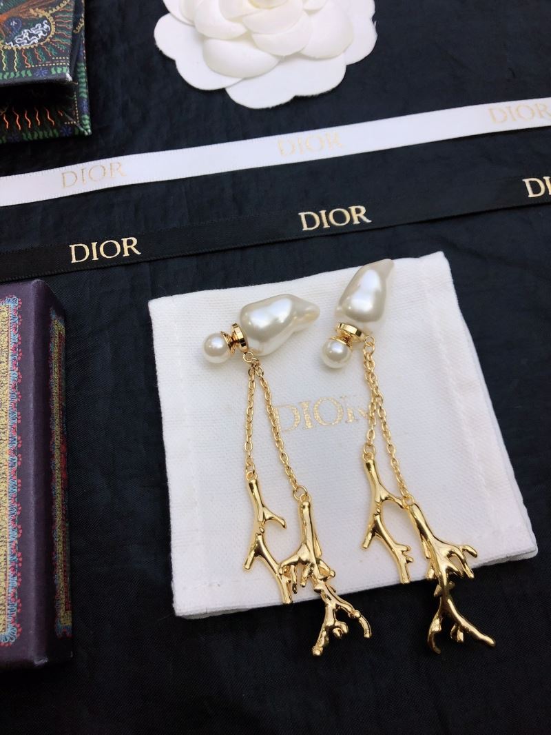 Christian Dior Earrings